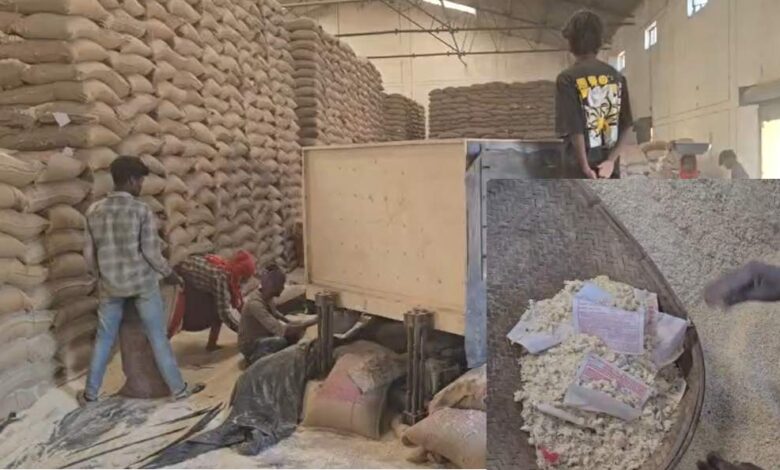 घुन लगे चावल की सफाई कर फिर सप्लाई की तैयारी, मजदूरों को जोखिम में रखा गया घुन लगे चावल की सफाई कर फिर सप्लाई की तैयारी, मजदूरों को जोखिम में रखा गया