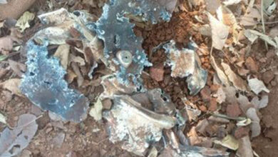 कुरकुंज के जंगल से 5 किलोग्राम वजनी आईईडी बरामद कुरकुंज के जंगल से 5 किलोग्राम वजनी आईईडी बरामद