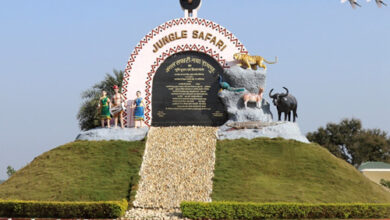 होली पर तीन दिन बंद रहेगी जंगल सफारी होली पर तीन दिन बंद रहेगी जंगल सफारी