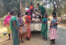 рд╡рдирд╛рдВрдЪрд▓ рдХреА рдХрд┐рд╕реНрдордд рдмрджрд▓рдиреЗ рд╡рд╛рд▓реА рдлрд╕рд▓ рд╕рд╛рдмрд┐рдд рд╣реБрдИ рдЗрдорд▓реА рд╡рдирд╛рдВрдЪрд▓ рдХреА рдХрд┐рд╕реНрдордд рдмрджрд▓рдиреЗ рд╡рд╛рд▓реА рдлрд╕рд▓ рд╕рд╛рдмрд┐рдд рд╣реБрдИ рдЗрдорд▓реА