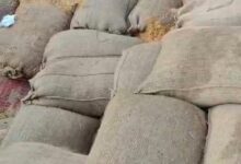 3 उपार्जन केंद्रों बघर्रा, बाघामुड़ा और रमतला से 4472 क्विंटल धान गायब 1.06 करोड़ का घोटाला उजागर 3 उपार्जन केंद्रों बघर्रा, बाघामुड़ा और रमतला से 4472 क्विंटल धान गायब 1.06 करोड़ का घोटाला उजागर