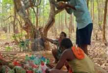 कोंडागांव में श्रद्धा और उत्साह के साथ मनाया गया माटी तिहार कोंडागांव में श्रद्धा और उत्साह के साथ मनाया गया माटी तिहार