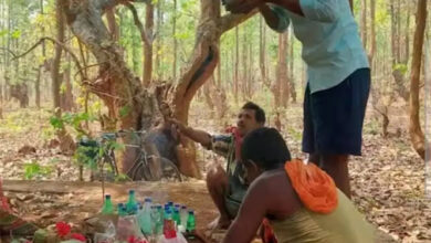 कोंडागांव में श्रद्धा और उत्साह के साथ मनाया गया माटी तिहार कोंडागांव में श्रद्धा और उत्साह के साथ मनाया गया माटी तिहार