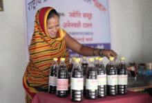 आत्मनिर्भरता की मिसाल : औराटोला बना बालोद का पहला लखपति दीदी ग्राम आत्मनिर्भरता की मिसाल : औराटोला बना बालोद का पहला लखपति दीदी ग्राम