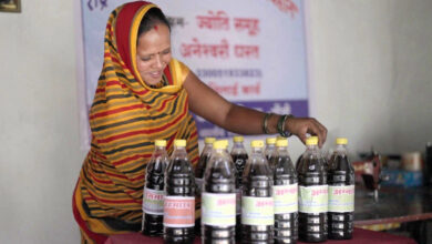 आत्मनिर्भरता की मिसाल : औराटोला बना बालोद का पहला लखपति दीदी ग्राम आत्मनिर्भरता की मिसाल : औराटोला बना बालोद का पहला लखपति दीदी ग्राम