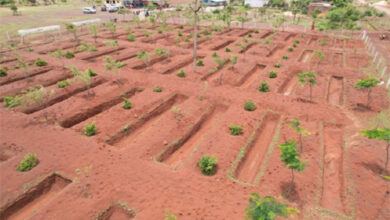 जल संरक्षण की दिशा में दुर्ग जिले की बड़ी उपलब्धि, 15 दिनों के भीतर 32058 रेन वाटर हार्वेस्टिंग का निर्माण पूर्ण जल संरक्षण की दिशा में दुर्ग जिले की बड़ी उपलब्धि, 15 दिनों के भीतर 32058 रेन वाटर हार्वेस्टिंग का निर्माण पूर्ण