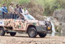 भोरमदेव अभ्यारण्य में जल्द शुरू होगी जंगल सफारी भोरमदेव अभ्यारण्य में जल्द शुरू होगी जंगल सफारी