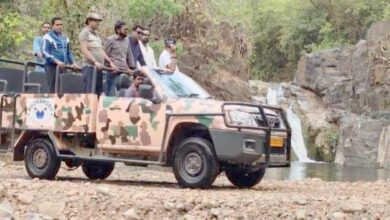 भोरमदेव अभ्यारण्य में जल्द शुरू होगी जंगल सफारी भोरमदेव अभ्यारण्य में जल्द शुरू होगी जंगल सफारी