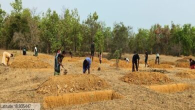 मनरेगा से बदली निम्मलगुड़ा की तस्वीर, 500 जल अवशोषण ट्रेंच से बढ़ा भू-जल स्तर, 1,801 मानव-दिवस का मिला रोजगार मनरेगा से बदली निम्मलगुड़ा की तस्वीर, 500 जल अवशोषण ट्रेंच से बढ़ा भू-जल स्तर, 1,801 मानव-दिवस का मिला रोजगार